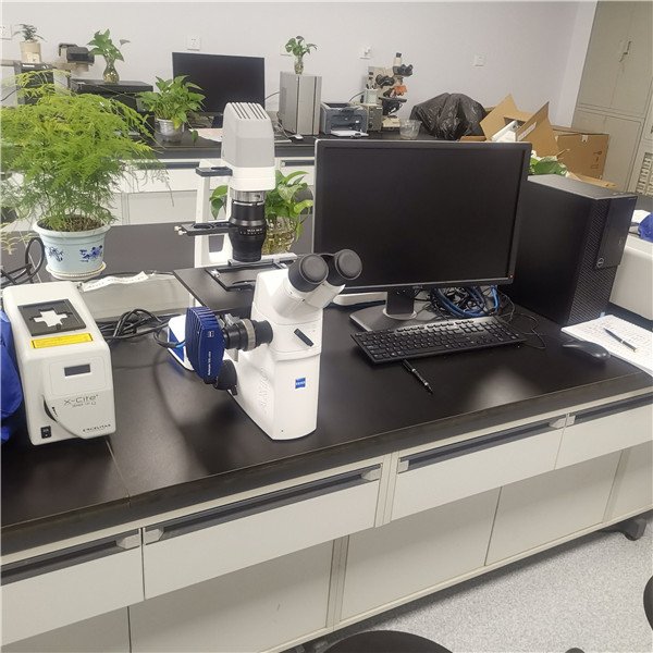 重点支撑基础医学