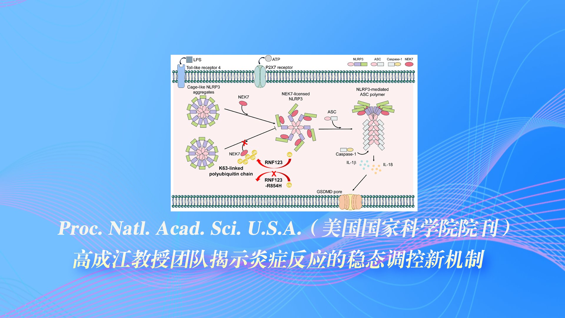 澳门大红鹰论坛正规渠道怎么弄举行“瑞